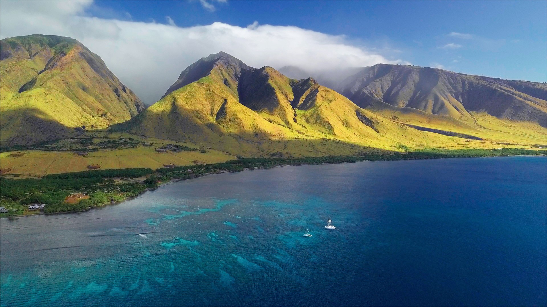 Aerial view of the west coast