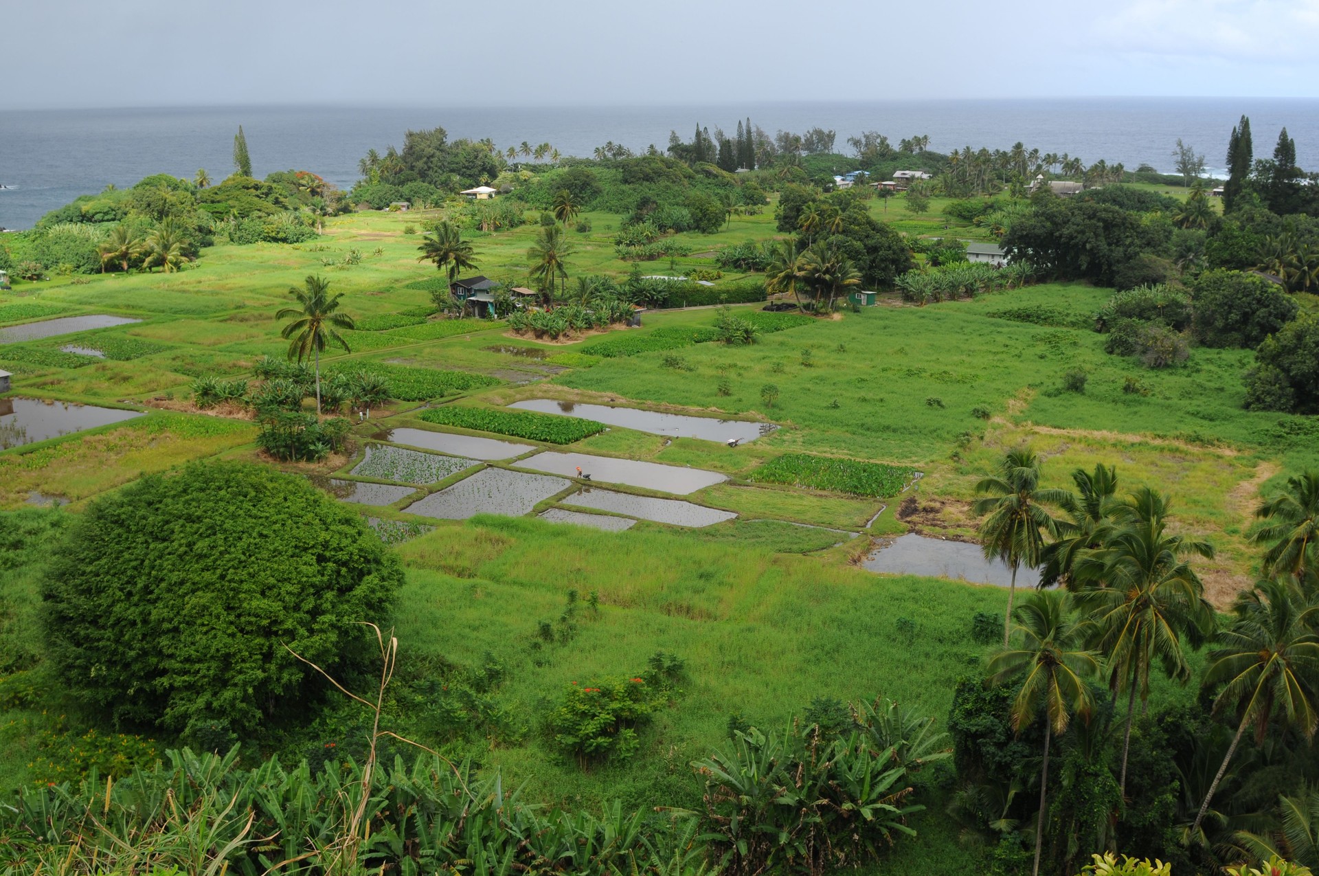 Seaside Farm -- Horizontal