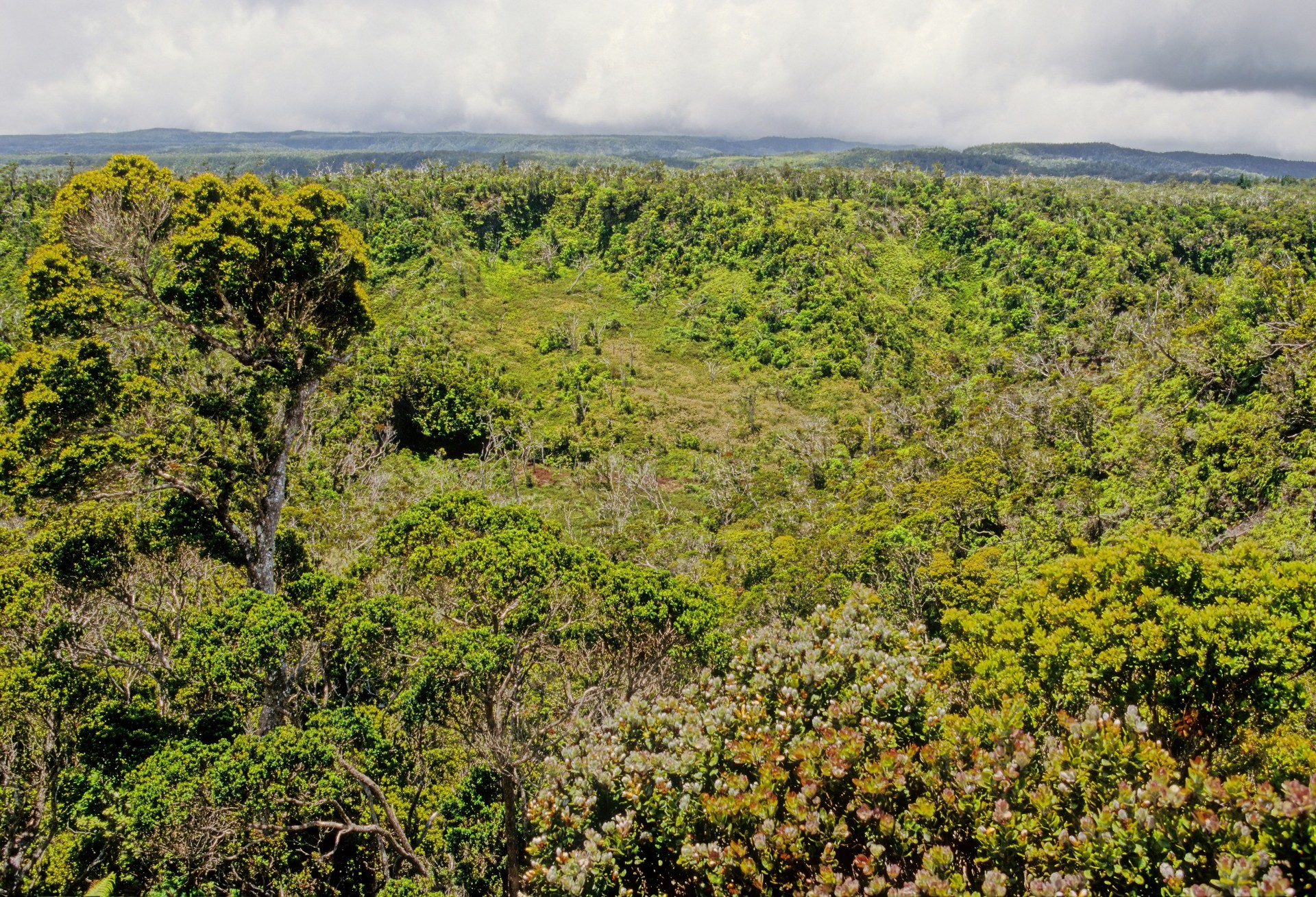 AlakaÊ»i Wilderness Preserve