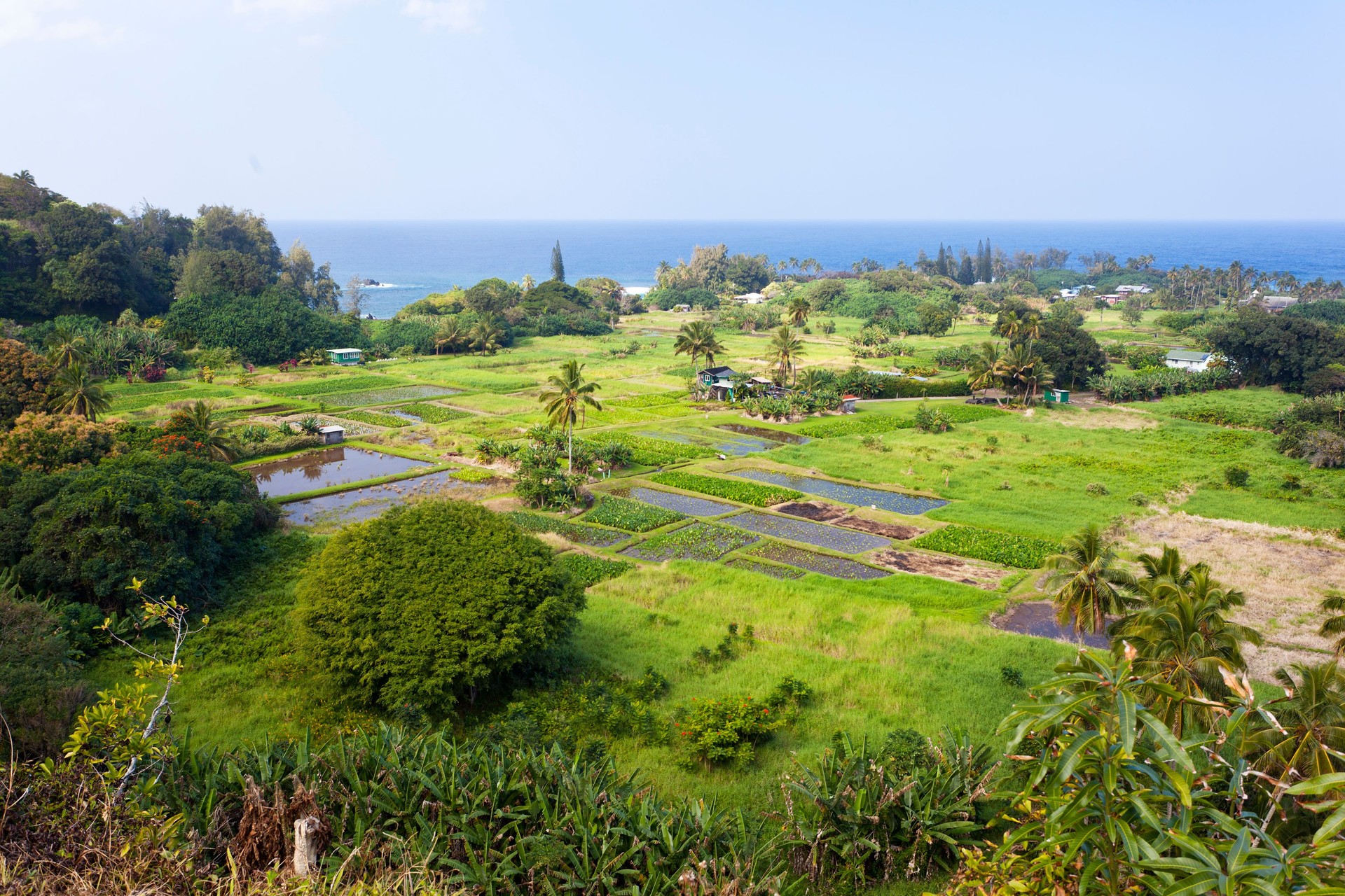 Keanae Peninsula, Maui